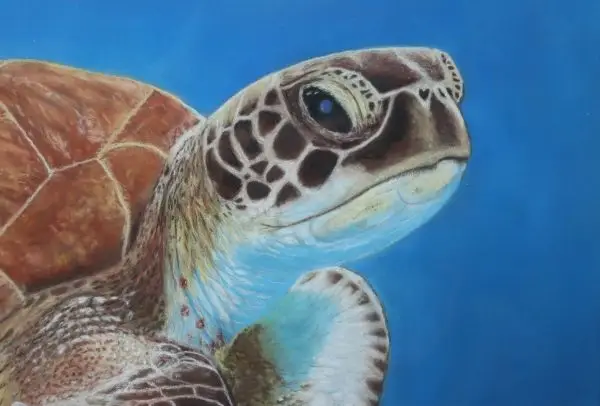 Just Keep Swimming - Image 3