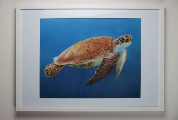 Just Keep Swimming - Image 2