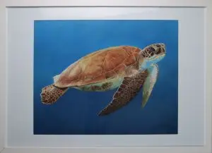Just Keep Swimming