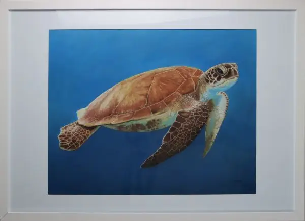 Just Keep Swimming