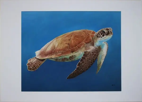 Just Keep Swimming - Image 6