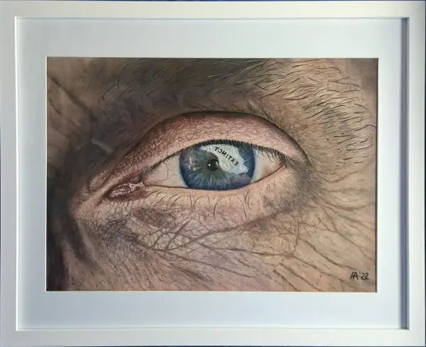 Open your Eyes - Extinct - Image 4