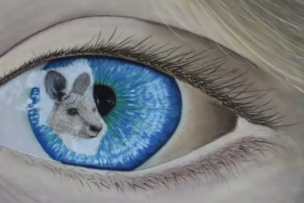 Open your Eyes - Protected, Grey Kangaroo - Image 2