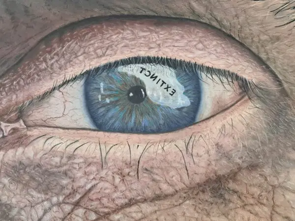 Open your Eyes - Extinct - Image 3