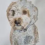 watercolour