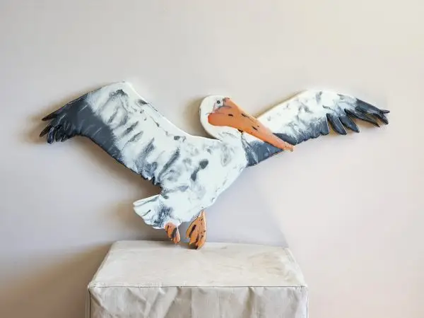 Pelican Take Off!