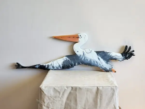 Pelican Fly!