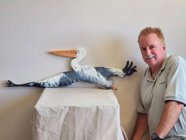 Pelican Fly! - Image 2