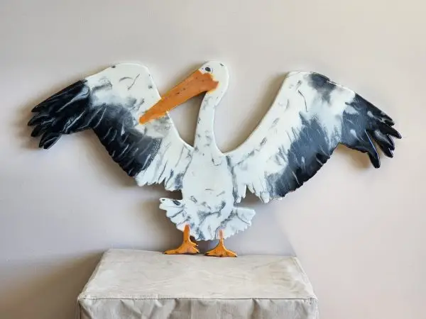 Pelican Standing drying Wings!