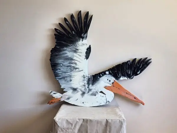 Pelican Fly Away!