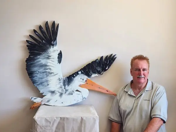 Pelican Fly Away! - Image 2