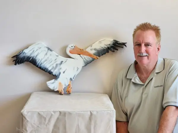 Pelican Take Off - Image 2